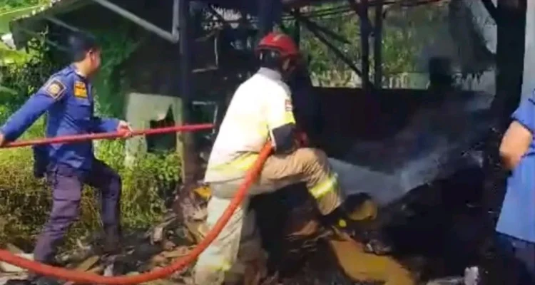 Kebakaran Gudang Kardus Totoran: Damkar Indramayu Berjibaku Padamkan