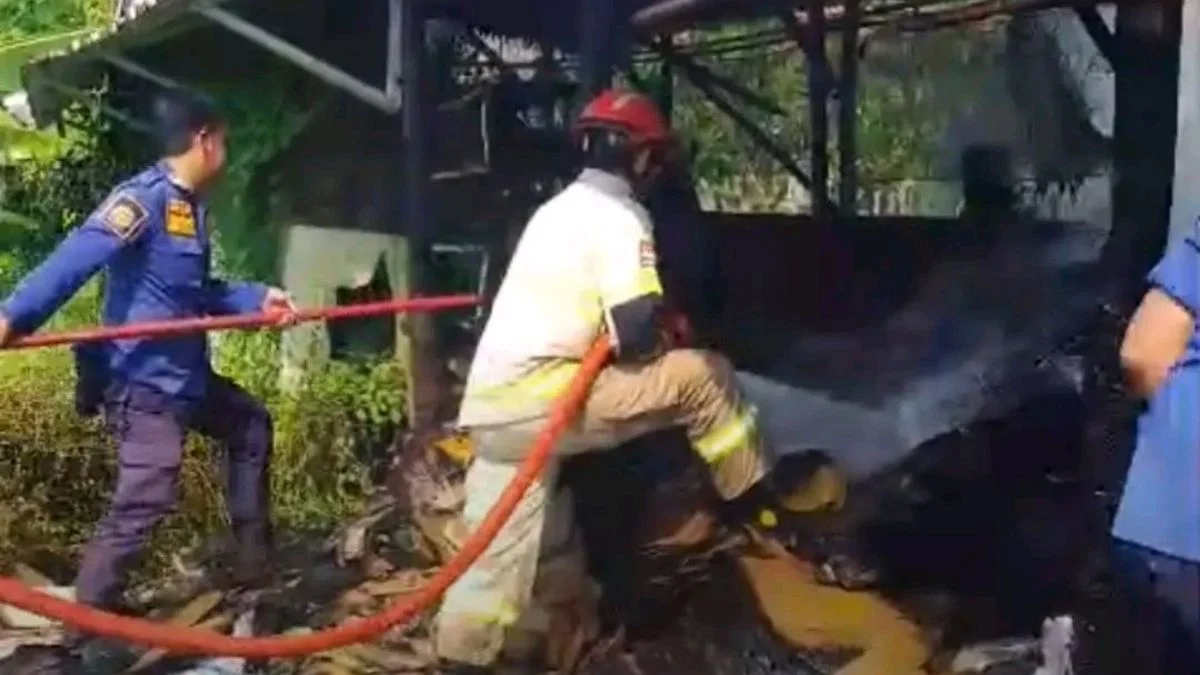 Kebakaran Gudang Kardus Totoran: Damkar Indramayu Berjibaku Padamkan