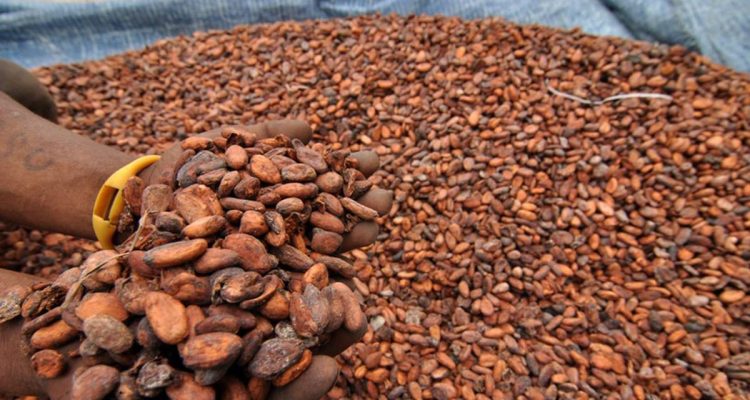 Kenaikan Harga Kakao Akibat Gangguan Selat Hormuz