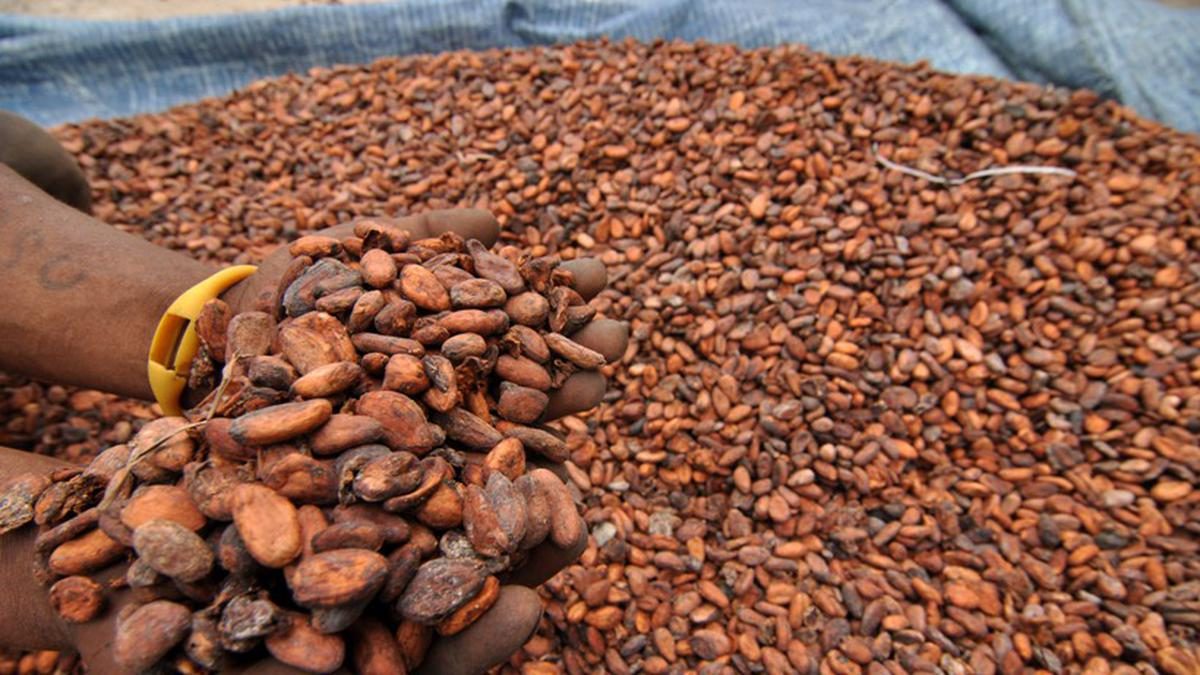 Kenaikan Harga Kakao Akibat Gangguan Selat Hormuz