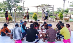 Masjid Jami Miftahul Huda Kurban 14 Kambing Idul Adha