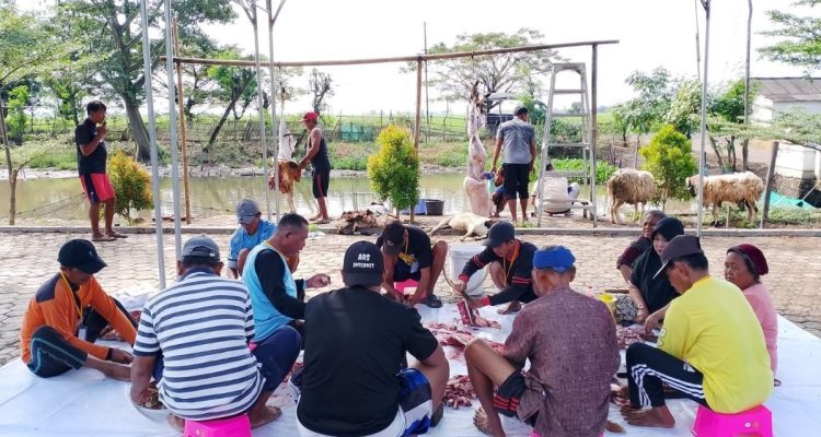 Masjid Jami Miftahul Huda Kurban 14 Kambing Idul Adha