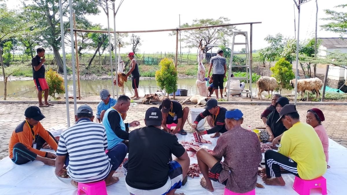 Masjid Jami Miftahul Huda Kurban 14 Kambing Idul Adha