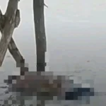 Mayat Lansia Ditemukan di Sungai Sukamulya Indramayu