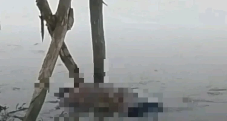 Mayat Lansia Ditemukan di Sungai Sukamulya Indramayu