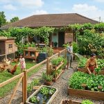 Menanam Sayur, Buah, dan Ternak di Halaman Rumah: Kebun Serbaguna