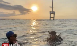 Menjelajahi Kekayaan Bawah Laut Gili Ketapang, Bupati Probolinggo Terkesan