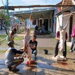 Momen Pembagian Daging Kurban: Sumber Kebahagiaan Warga