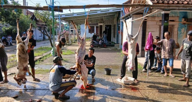 Momen Pembagian Daging Kurban: Sumber Kebahagiaan Warga