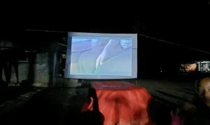 Nobar Film Pesta Babi di Indramayu: Sisi Lain Proyek Food Estate Papua Terungkap