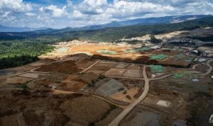 Pemerintah Prioritaskan Kepentingan Nasional Pasca Keluhan Kadin China