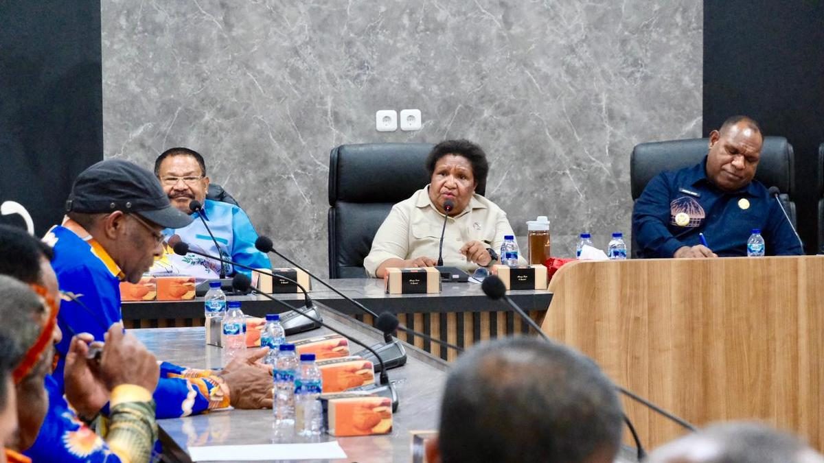 Pemerintah Pusat Hadir Penuh Pulihkan Keamanan di Wamena