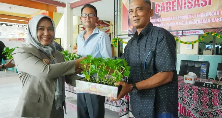 Pemkot Mojokerto Bagikan Bibit Cabai Gratis Dukung Program Cabenisasi