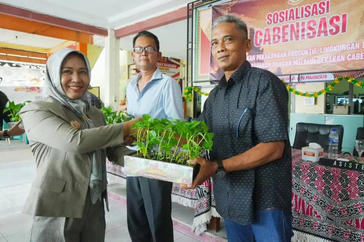 Pemkot Mojokerto Bagikan Bibit Cabai Gratis Dukung Program Cabenisasi