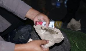 Pengendara Motor Terjaring Bawa Ganja dan Lintingan