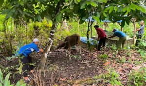 Pengorbanan Tanpa Memandang Perbedaan di Pulau Buru