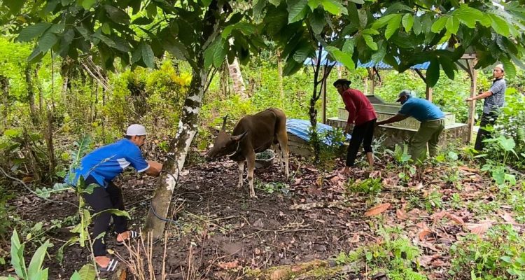 Pengorbanan Tanpa Memandang Perbedaan di Pulau Buru