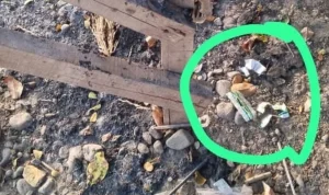 Peredaran Obat Daftar G: Praktisi Hukum Minta Polisi Tindak Tegas di Pintu Air Ke-2