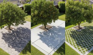 Perkerasan Halaman: Paving Block, Cor Beton, atau Grass Block untuk Area Pohon Buah