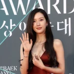 Pesona Menonjol di Baeksang Arts Awards 2026