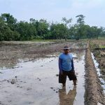 Petani Karangtumaritis Sambut Musim Tanam Kedua, Harapan Panen Tahun Ini Ditentukan