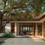 Pohon Berakar Perusak Fondasi Rumah dan Cara Mencegahnya