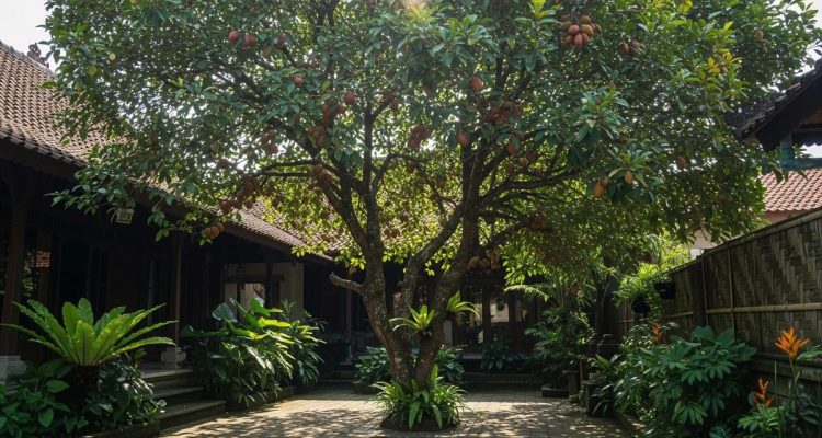 Pohon Buah Peneduh Rumah yang Bebas Hama dan Aman di Halaman
