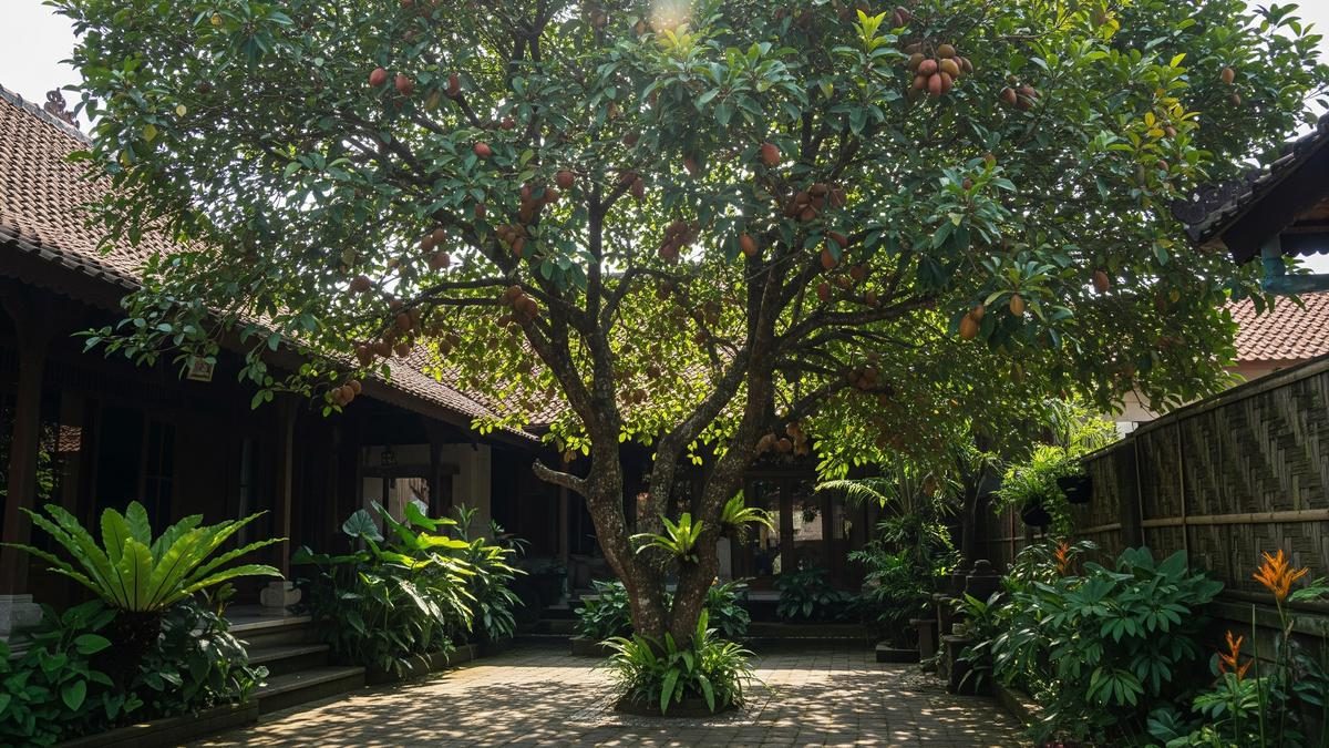 Pohon Buah Peneduh Rumah yang Bebas Hama dan Aman di Halaman