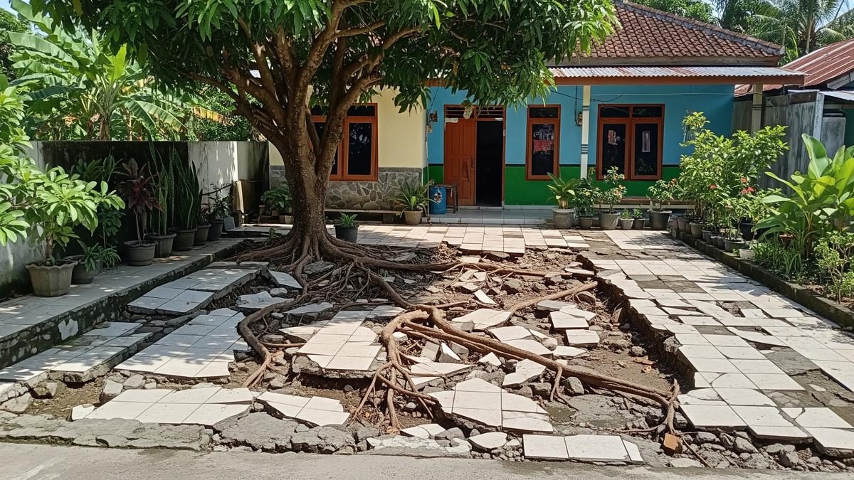 Pohon Buah yang Cocok untuk Halaman Rumah Type 36