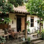 Pohon Buah yang Minim Serangga saat Berbuah di Pekarangan