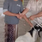 PT Kawaguchi Berbagi Kurban Idul Adha untuk Warga Jangga Jumbleng