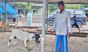 PT Kawaguchi Kurban Peduli: Warga Jumbleng Bahagia Idul Adha