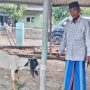 PT Kawaguchi Kurban Peduli: Warga Jumbleng Bahagia Idul Adha