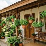Rumah Kecil Sejuk dan Asri dengan Tanaman Gantung