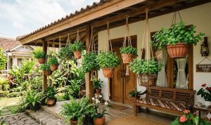 Rumah Kecil Sejuk dan Asri dengan Tanaman Gantung