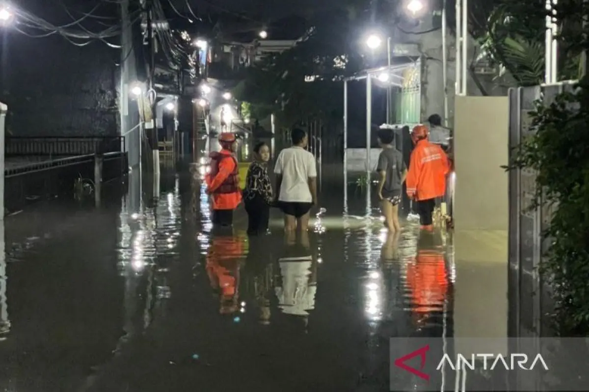 Satu Meninggal Akibat Pohon Tumbang, Puluhan Rumah Rusak Akibat Cuaca Ekstrem Bogor