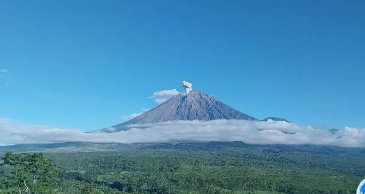 Semeru Erupsi Lagi Pagi Ini, Abu Naik 700 Meter