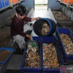 Solusi Limbah Program MBG: BRIN Sediakan Teknologi Olah Jadi Energi
