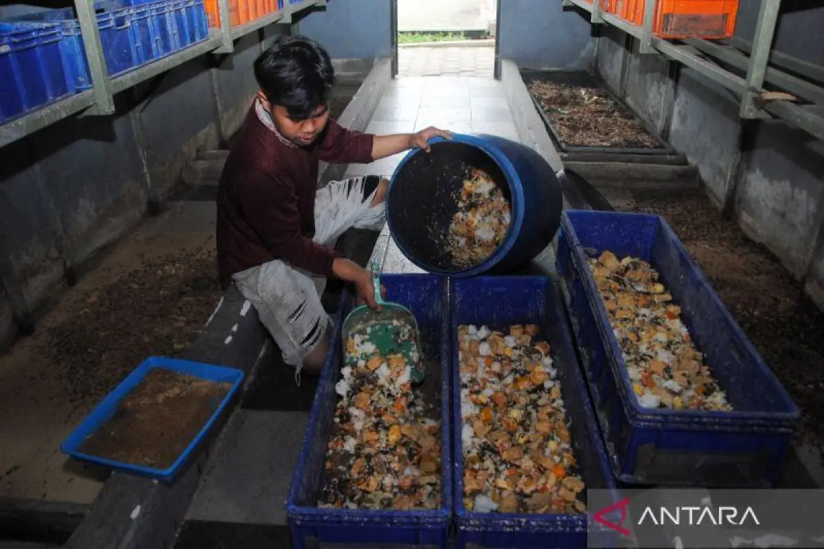 Solusi Limbah Program MBG: BRIN Sediakan Teknologi Olah Jadi Energi