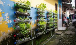 Sulap Limbah Jadi Kebun Sayur Estetik dan Produktif