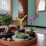 Tanaman Hias Mini untuk Meja Tamu: Percantik Ruangan Anda