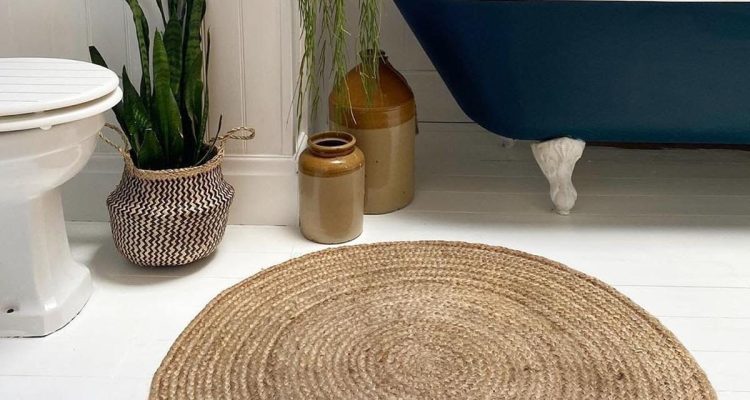 Tanaman Pilihan untuk Kamar Mandi: Tahan Lembap dan Minim Cahaya