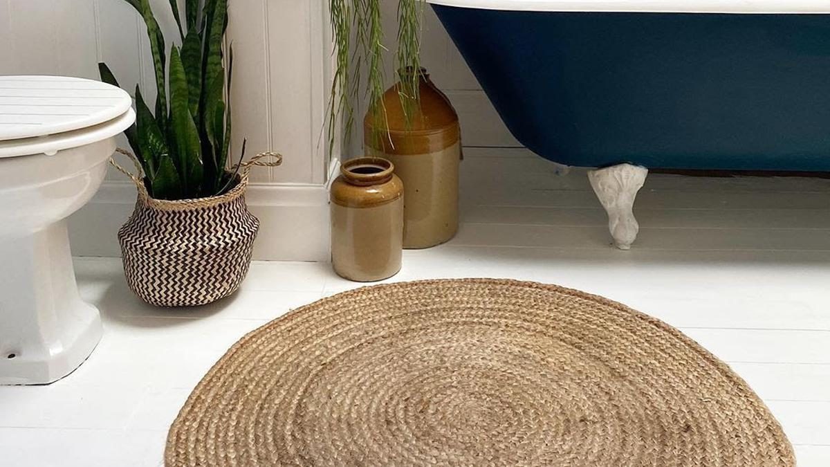 Tanaman Pilihan untuk Kamar Mandi: Tahan Lembap dan Minim Cahaya