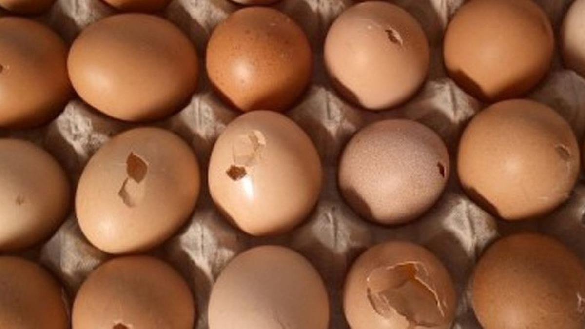 Telur Retak di Kulkas: Amankah Disimpan? Pahami Risiko dan Cara Mengatasinya