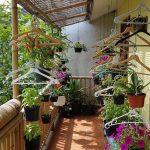 Teras Kecil Makin Cantik dengan 7 Kebun Mini Gantung dari Hanger Bekas