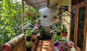 Teras Kecil Makin Cantik dengan 7 Kebun Mini Gantung dari Hanger Bekas