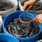 Ternak dalam Ember: 8 Ide Solusi Pangan Mandiri di Rumah dengan Lahan Terbatas
