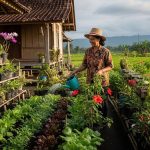 Tips Menanam Sayuran Organik di Rumah Tanpa Pupuk Kimia Ala Pengurus KWT Yogya
