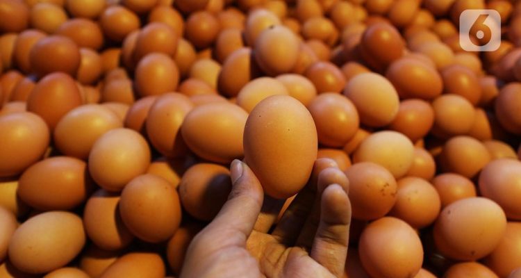 Tips Menyimpan Telur Agar Tahan Lama dan Aman Dikonsumsi