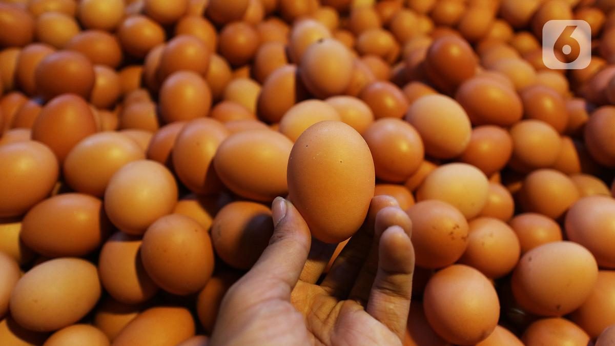 Tips Menyimpan Telur Agar Tahan Lama dan Aman Dikonsumsi